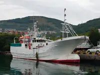 Trawler à venda