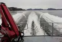 Barcos de trabalho à venda
