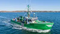 Navio de pesca de cerco à venda