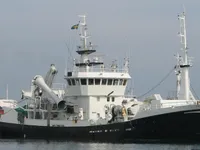 Navio de pesca de arrasto à venda