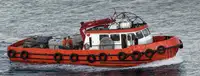 Barcos de trabalho à venda