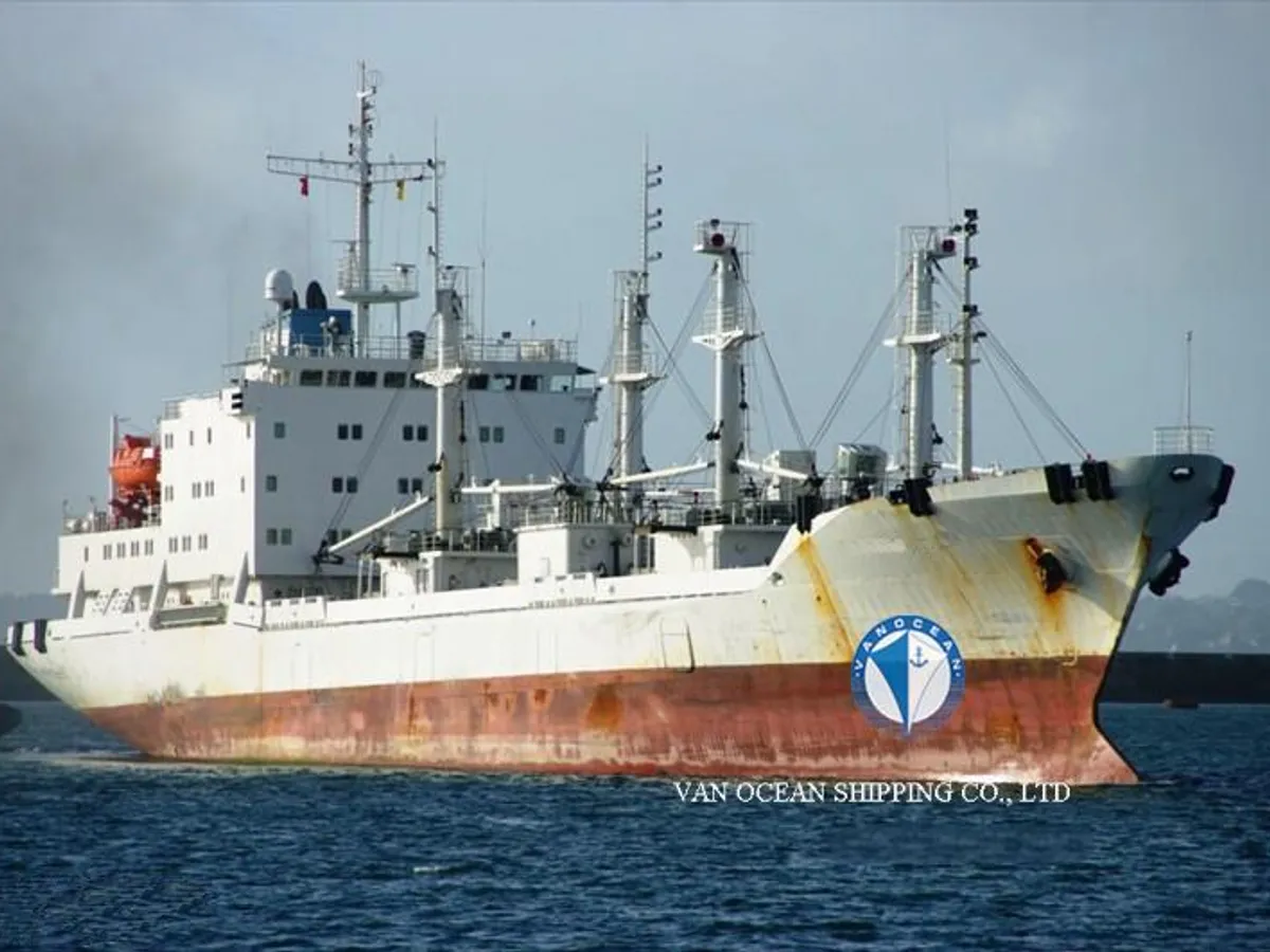 Navio frigorífico à venda