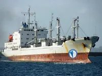 Navio frigorífico à venda