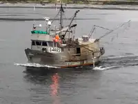 Longliner à venda
