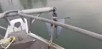 Navio de pesca de arrasto à venda