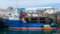 Barcos de trabalho à venda