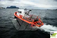 Barcos de trabalho à venda