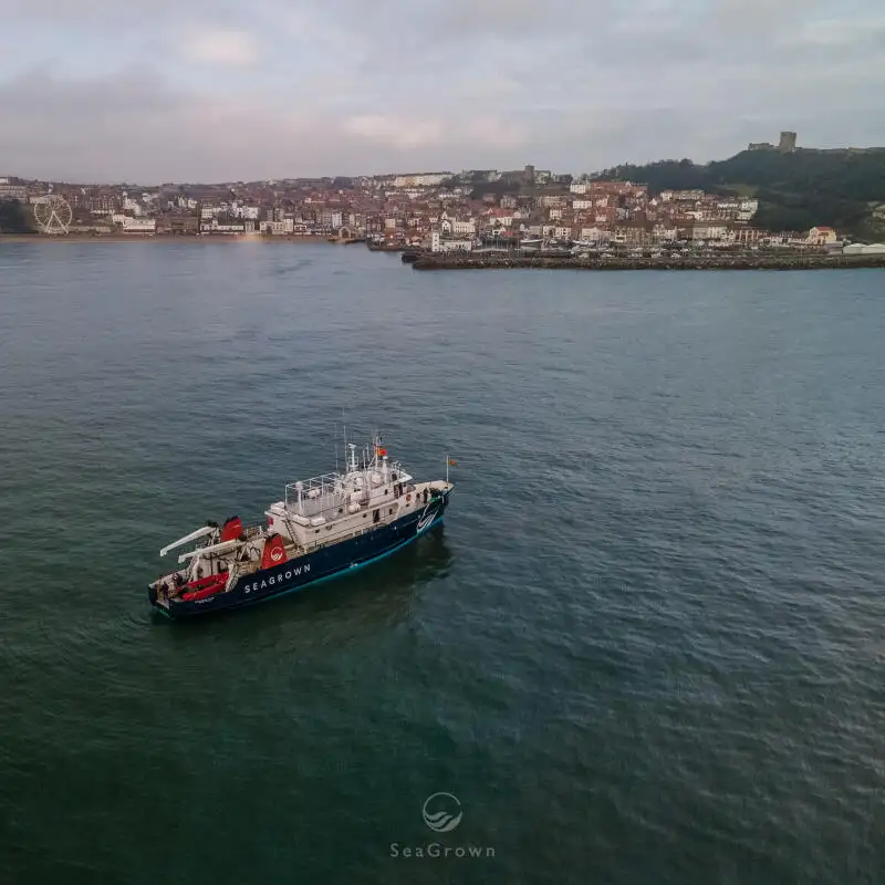 Navio de pesquisa à venda