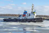 Rebocador à venda