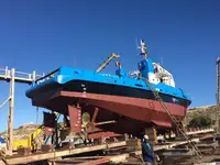 Barcos de trabalho à venda
