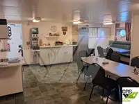 Navio Ro-Ro à venda