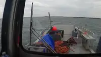 Balsa de desembarque, tanque à venda