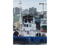 Barcos de trabalho à venda