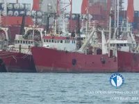 Navio de pesca de arrasto à venda