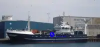 Embarcação para processamento e transporte de peixe à venda