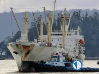 Navio frigorífico à venda