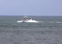 Barcos de trabalho à venda