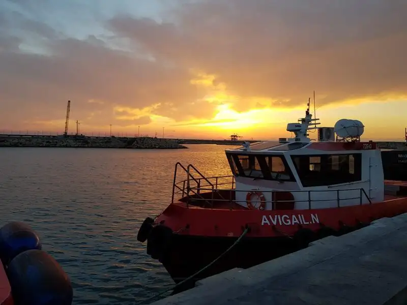 Barcos de trabalho à venda