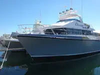 Barcos de trabalho à venda