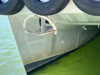 Catamarã à venda