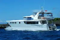 Cutter à venda