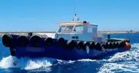 Barcos de trabalho à venda