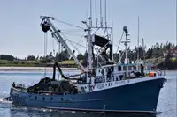 Navio de pesca de cerco à venda