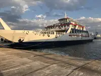 Ro-Ro ship à venda