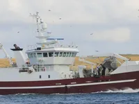 Navio de pesca de arrasto à venda