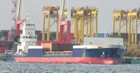 Navio Reefer à venda