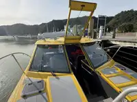 Navio de cruzeiro à venda