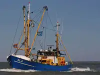 Navio de pesca de arrasto à venda