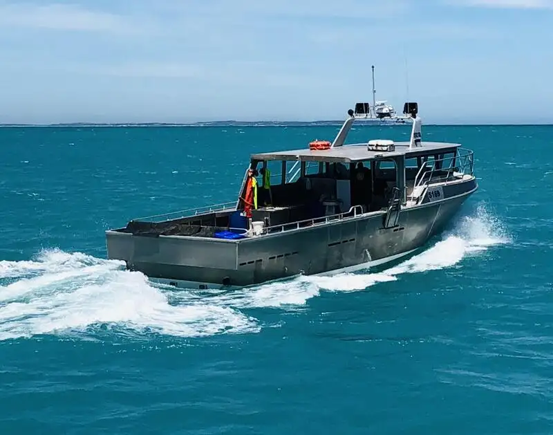 Barcos de trabalho à venda
