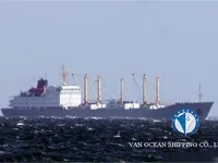 Navio frigorífico à venda