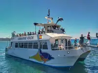 Navio de passageiros à venda