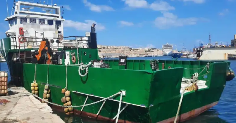 Barcos de trabalho à venda