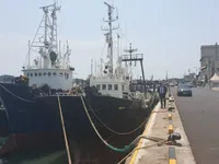 Navio de pesca de arrasto à venda