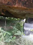 Barcaça à venda