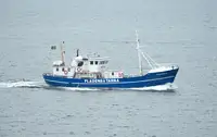 Trawler à venda