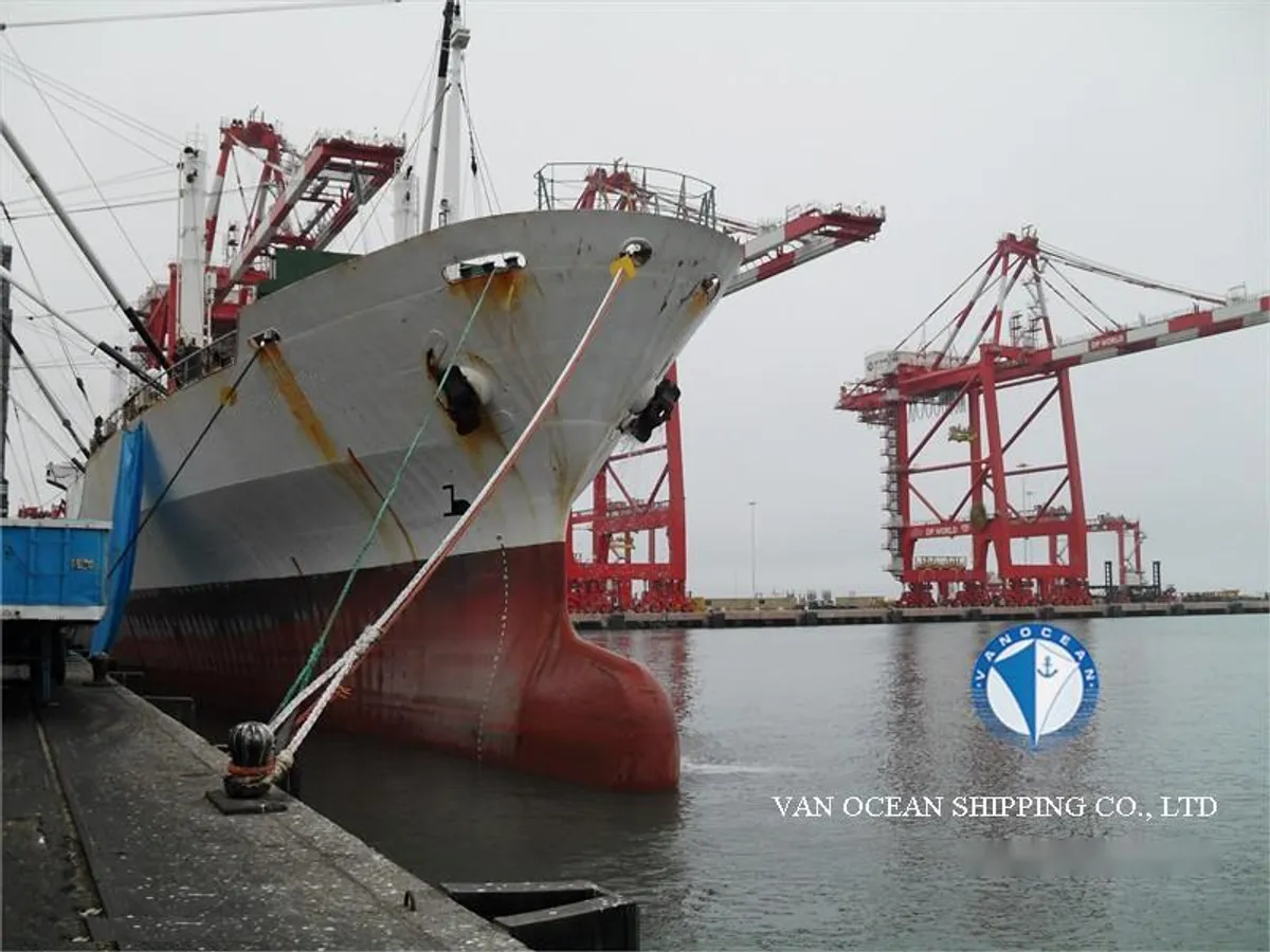 Navio frigorífico à venda