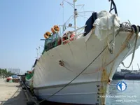 Navio de pesca de lula com anzol à venda