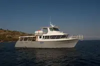 Navio balsa à venda