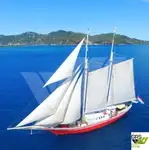 Cruzeiro à venda