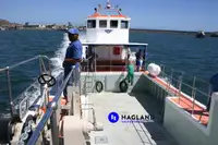 Barcos de trabalho à venda