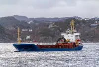 Navio graneleiro à venda