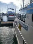 Navio transportador de GNL à venda