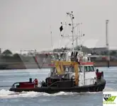 Barcos de trabalho à venda