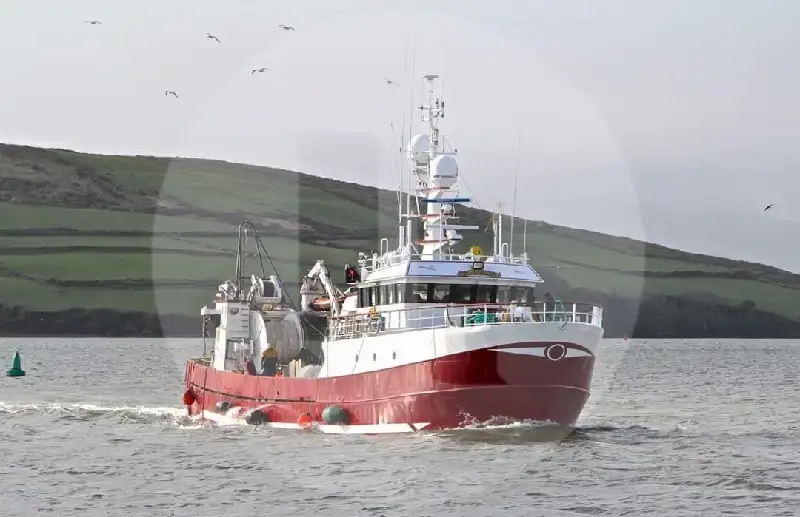 Navio de pesca de arrasto à venda