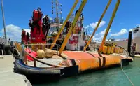 Barcos de trabalho à venda