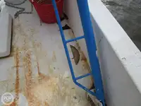 Navio de pesca de arrasto à venda